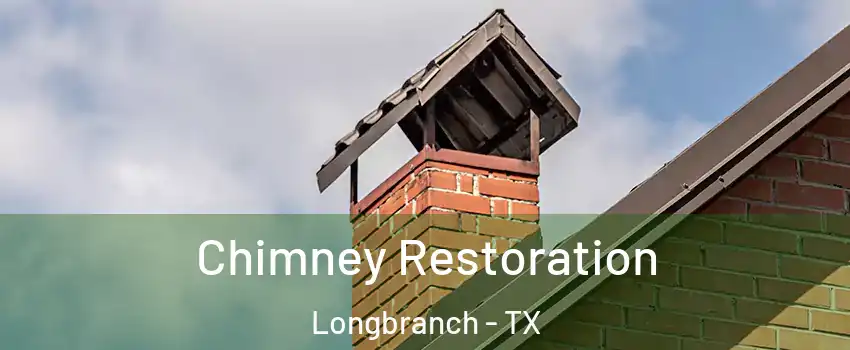 Chimney Restoration Longbranch - TX