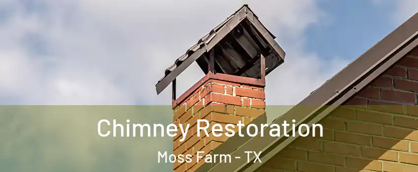 Chimney Restoration Moss Farm - TX