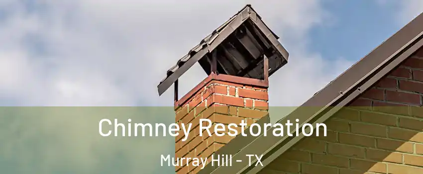 Chimney Restoration Murray Hill - TX