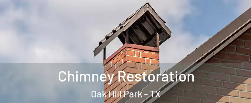 Chimney Restoration Oak Hill Park - TX
