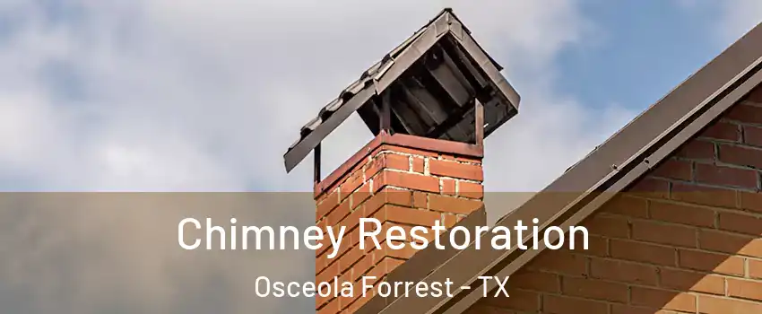 Chimney Restoration Osceola Forrest - TX