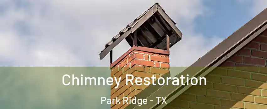 Chimney Restoration Park Ridge - TX