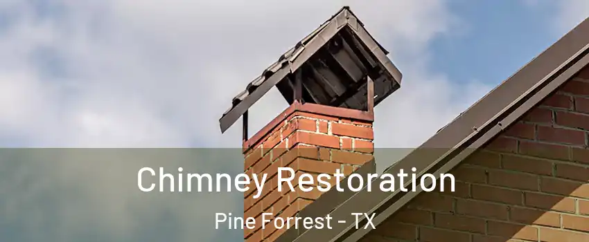 Chimney Restoration Pine Forrest - TX