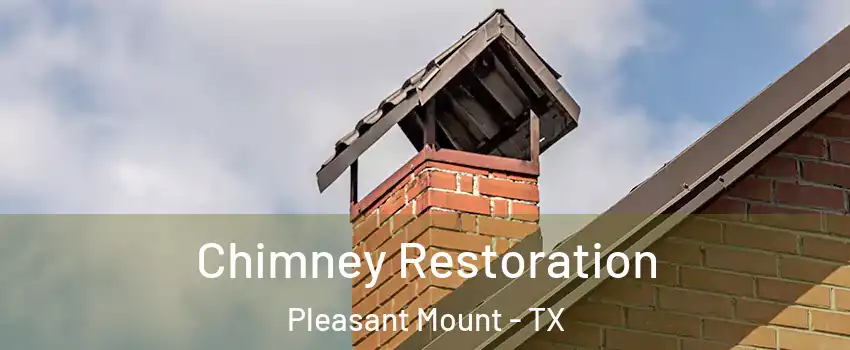 Chimney Restoration Pleasant Mount - TX