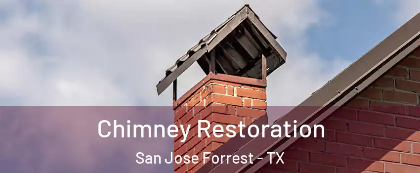 Chimney Restoration San Jose Forrest - TX