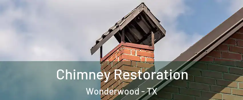 Chimney Restoration Wonderwood - TX