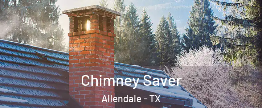 Chimney Saver Allendale - TX