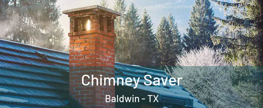 Chimney Saver Baldwin - TX