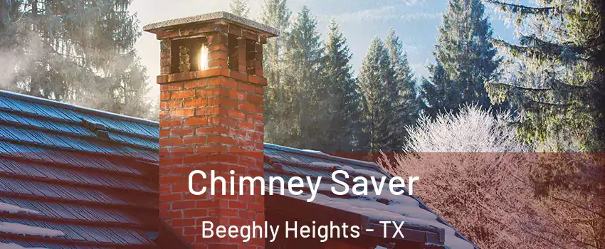 Chimney Saver Beeghly Heights - TX