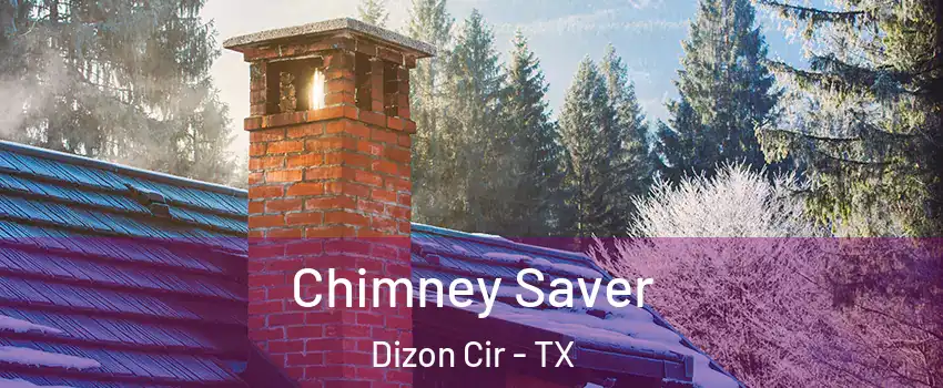 Chimney Saver Dizon Cir - TX