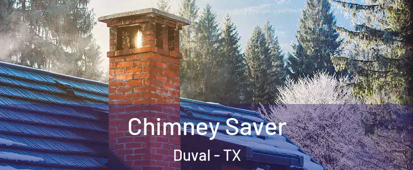 Chimney Saver Duval - TX