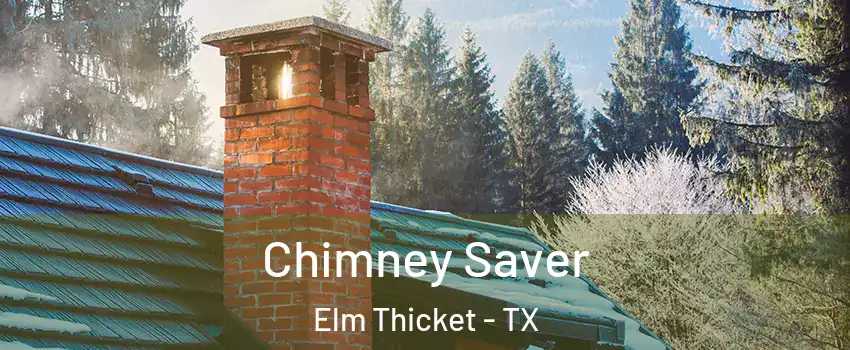 Chimney Saver Elm Thicket - TX