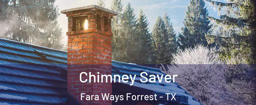 Chimney Saver Fara Ways Forrest - TX