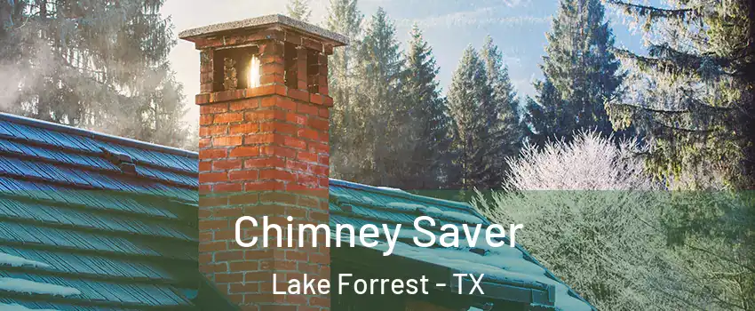 Chimney Saver Lake Forrest - TX