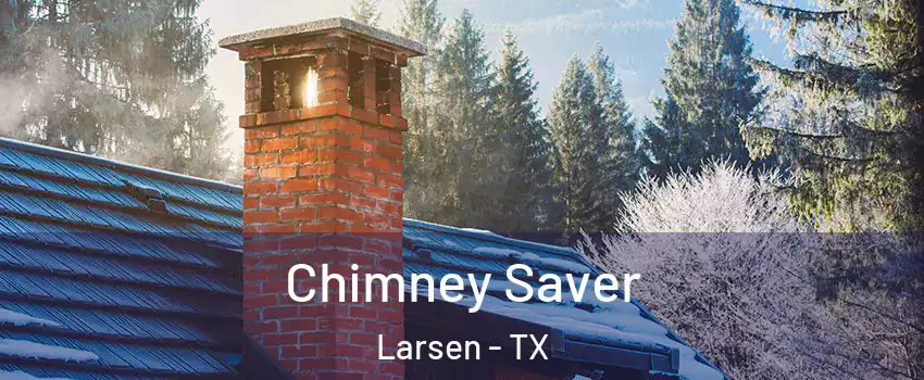 Chimney Saver Larsen - TX