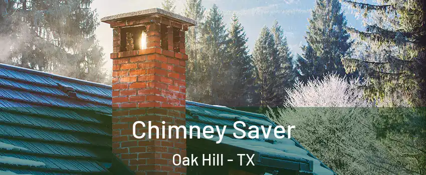 Chimney Saver Oak Hill - TX