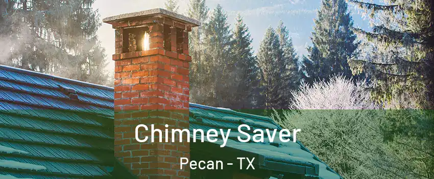 Chimney Saver Pecan - TX
