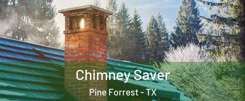Chimney Saver Pine Forrest - TX
