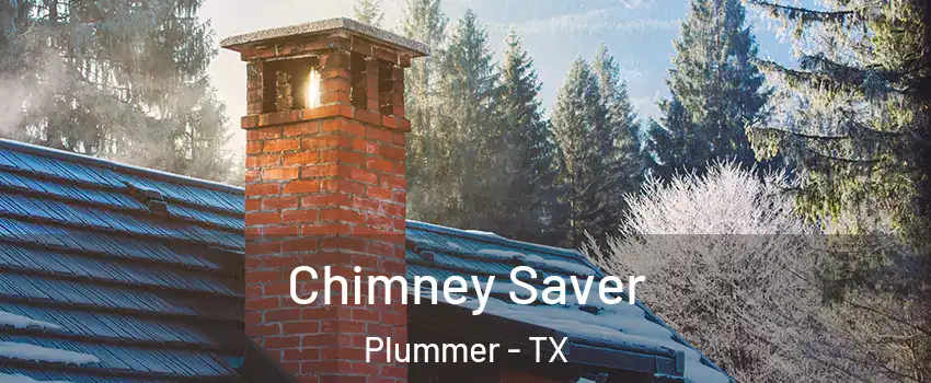 Chimney Saver Plummer - TX