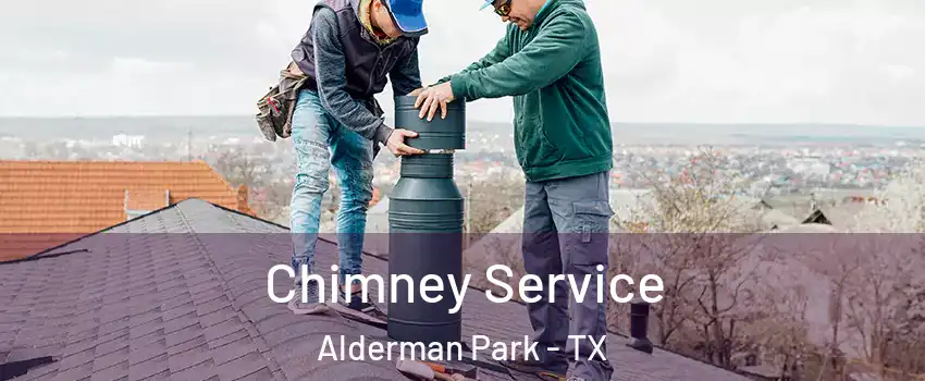 Chimney Service Alderman Park - TX