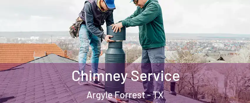 Chimney Service Argyle Forrest - TX