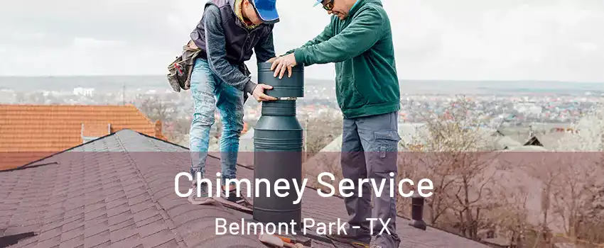 Chimney Service Belmont Park - TX