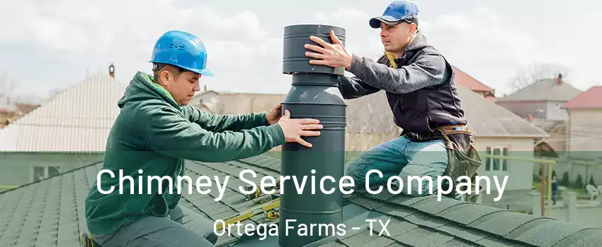 Chimney Service Company Ortega Farms - TX