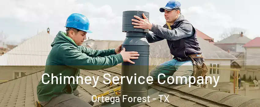 Chimney Service Company Ortega Forest - TX