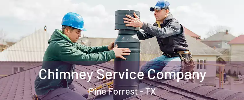 Chimney Service Company Pine Forrest - TX