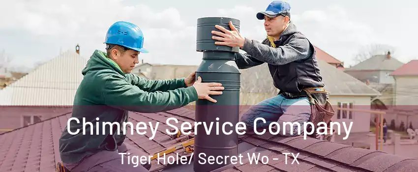 Chimney Service Company Tiger Hole/ Secret Wo - TX