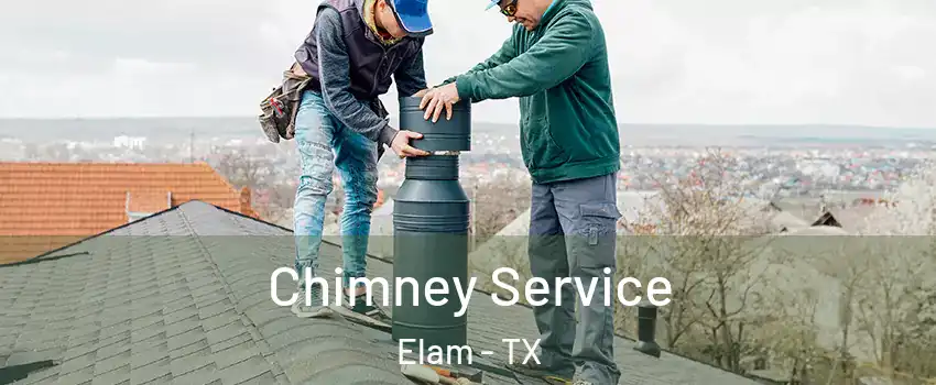 Chimney Service Elam - TX