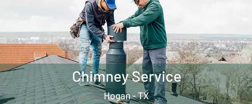 Chimney Service Hogan - TX