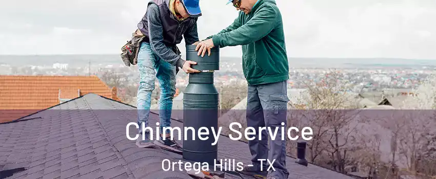 Chimney Service Ortega Hills - TX