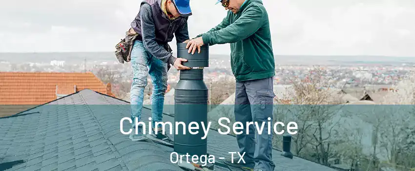Chimney Service Ortega - TX