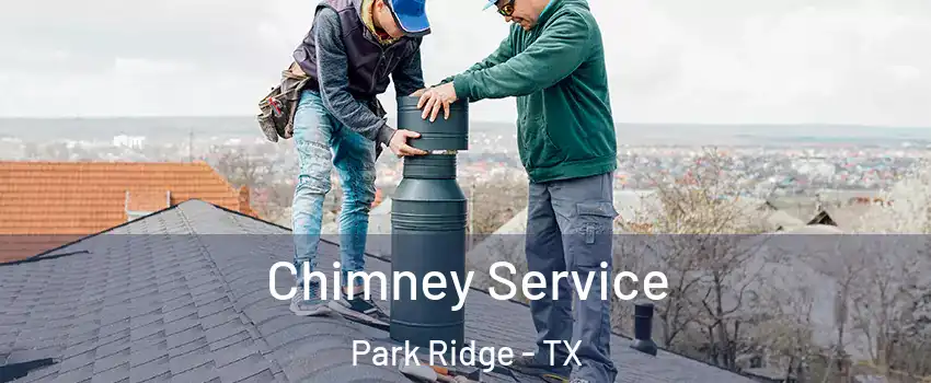Chimney Service Park Ridge - TX