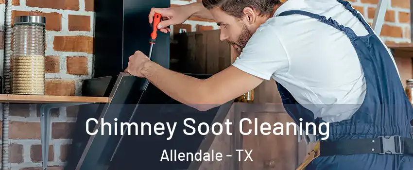 Chimney Soot Cleaning Allendale - TX