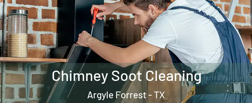 Chimney Soot Cleaning Argyle Forrest - TX