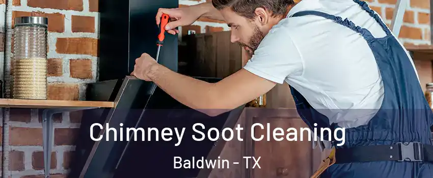 Chimney Soot Cleaning Baldwin - TX