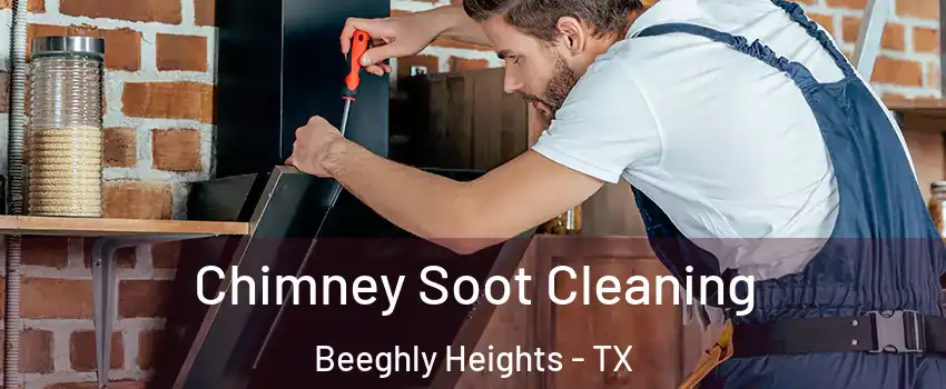 Chimney Soot Cleaning Beeghly Heights - TX