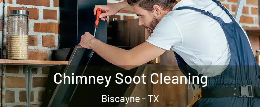 Chimney Soot Cleaning Biscayne - TX