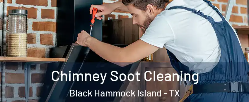 Chimney Soot Cleaning Black Hammock Island - TX