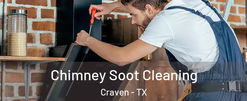Chimney Soot Cleaning Craven - TX