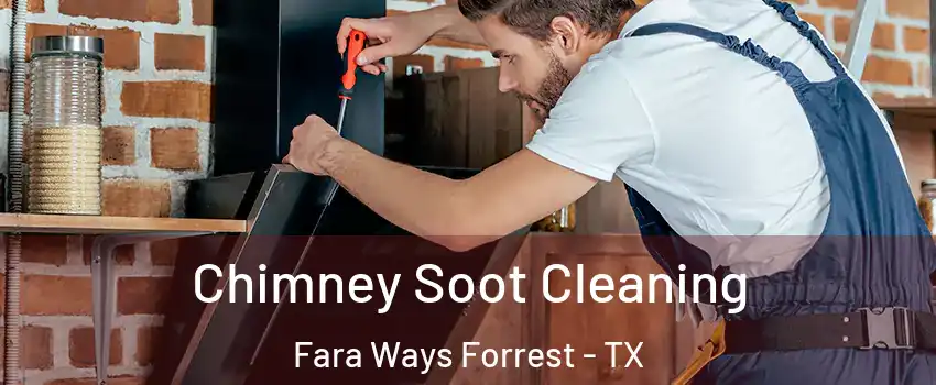 Chimney Soot Cleaning Fara Ways Forrest - TX