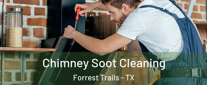 Chimney Soot Cleaning Forrest Trails - TX