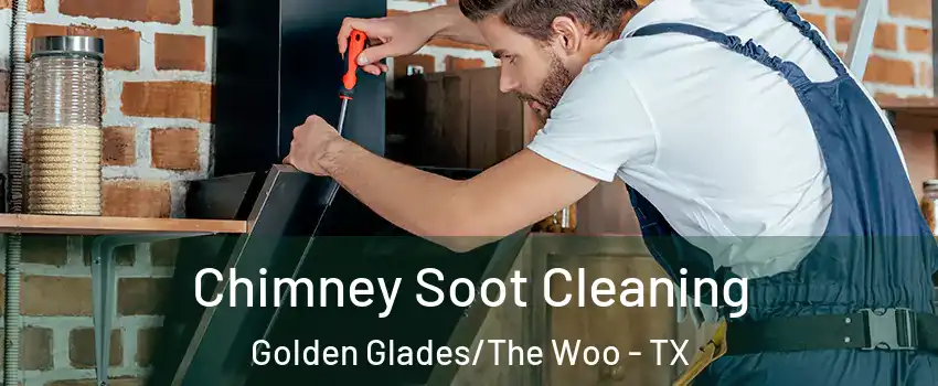 Chimney Soot Cleaning Golden Glades/The Woo - TX