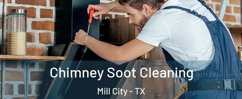 Chimney Soot Cleaning Mill City - TX