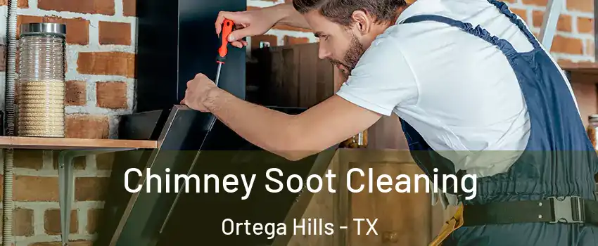 Chimney Soot Cleaning Ortega Hills - TX