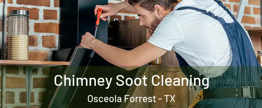Chimney Soot Cleaning Osceola Forrest - TX