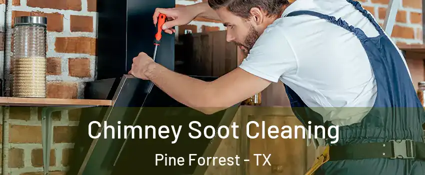 Chimney Soot Cleaning Pine Forrest - TX