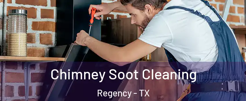 Chimney Soot Cleaning Regency - TX
